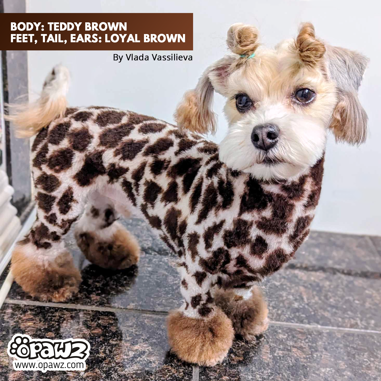 Teddy Brown Plush Stuffed Animal (VP67) - Soft & Cuddly, Buy 3 Get 1 Free - Perfect for Gifts, Nursery Decor & Comfort