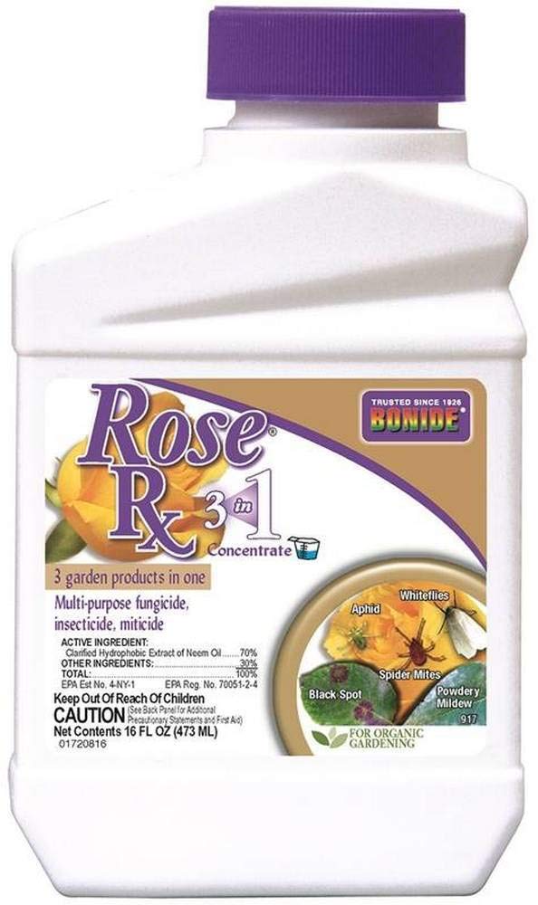 Organic Rose Rx Fungicide, Insecticide & Miticide - 1-Pt Concentrate for Healthy Roses | Controls Powdery Mildew, Black Spot & Spider Mites | Perfect for Garden Roses, Shrubs & Houseplants