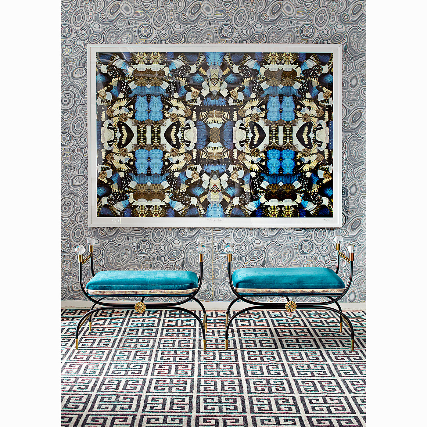 Blue Morpho Butterfly (Morpho Peleides) - Real Framed Specimen for Home Decor, Collectors & Science Education | Perfect for Wall Art, Nature Displays & Gifts