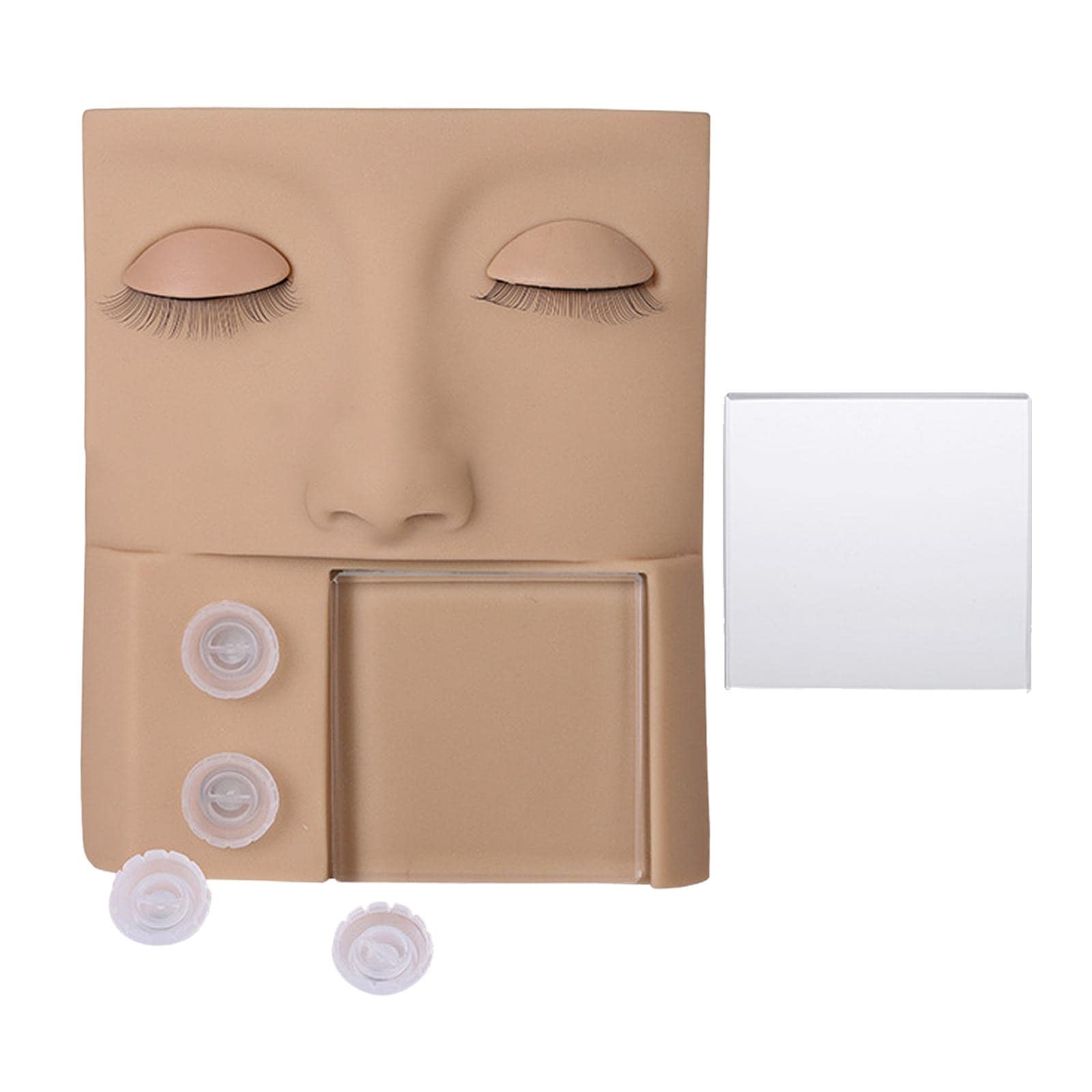 Professional Eyelid Kit for Makeup Practice & Training – Perfect for Beginners, Beauty Schools & Makeup Artists | Essential Makeup Supplies for Eyeshadow, Eyeliner & False Eyelash Application