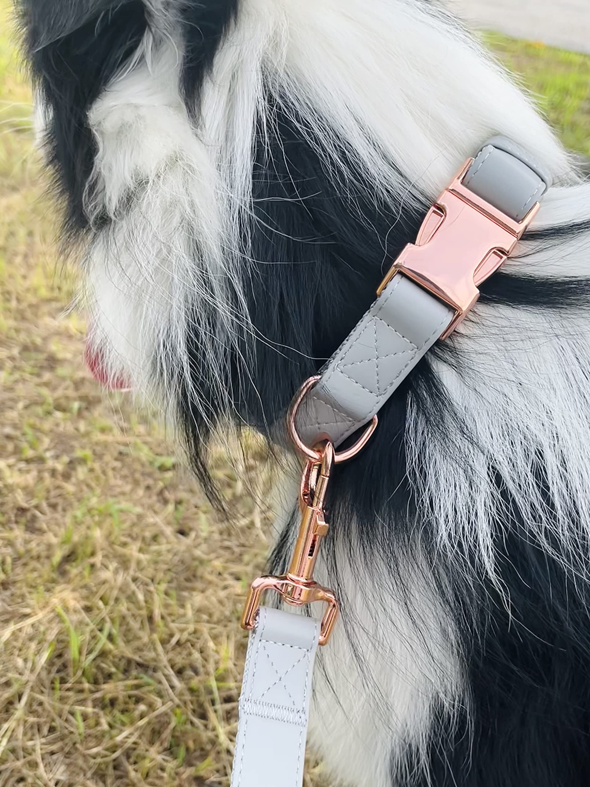 Premium Vegan Leather Dog Collar & Leash Set - Soft, Durable & Easy to Clean with Rose Gold Buckle for Small, Medium & Large Dogs (Grey, Large 15.4