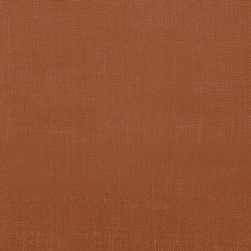08 - Rust