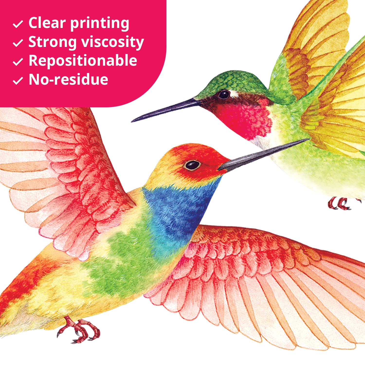 BASHOM DS2-4002 Hummingbird Wall Decals - Removable Peel & Stick Vinyl Wall Art for Nursery, Bedroom, Living Room Decor - Spring Flying Bird Mural Stickers for Kids Room & Home Decoration (Perfect for Birthday Parties, Baby Showers & Seasonal Home Decor)
