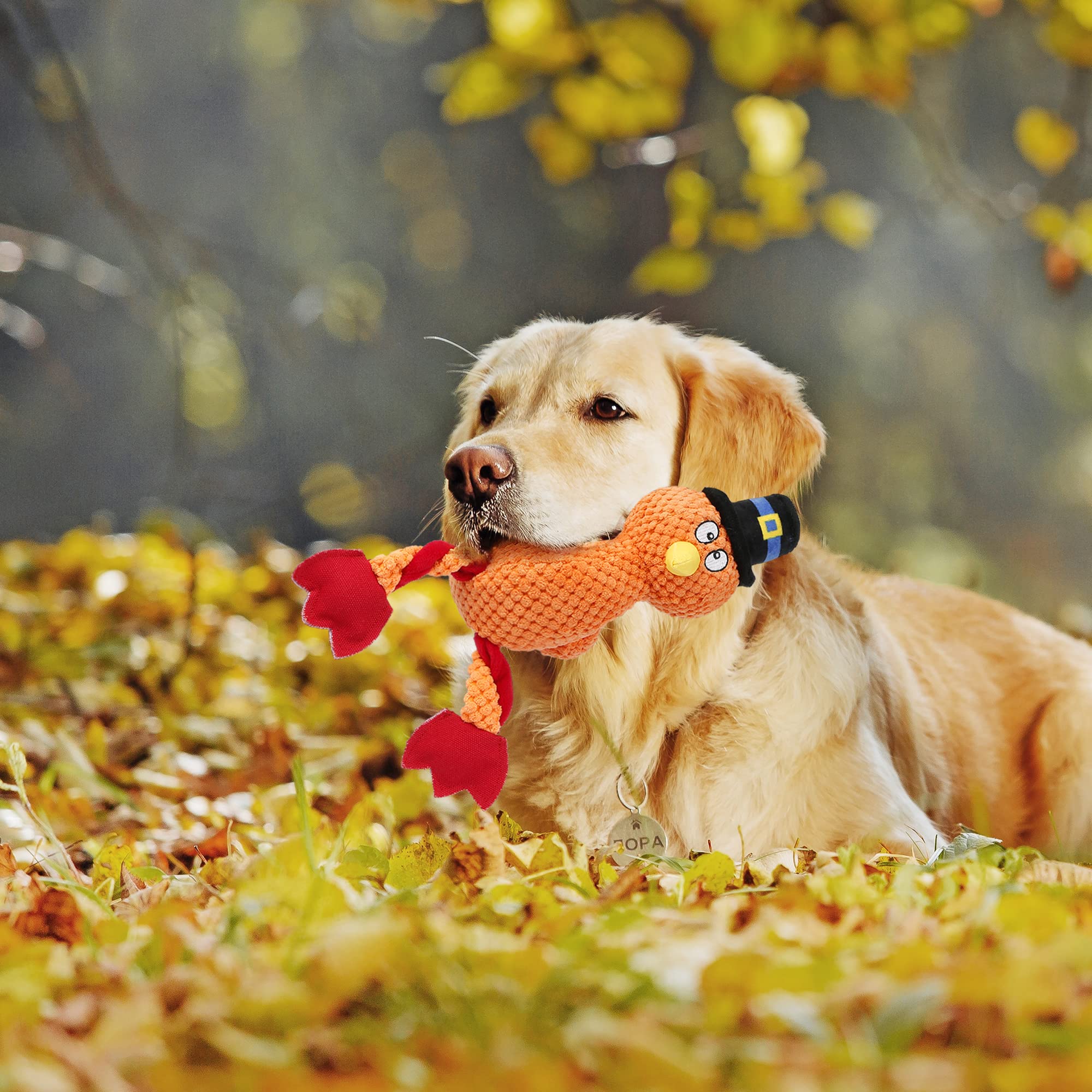 Senneny Thanksgiving Turkey Squeaky Dog Toy with Chew-Resistant Plush - Interactive Puppy Chew Toy for Small, Medium & Large Dogs - Perfect for Holiday Playtime & Training Rewards