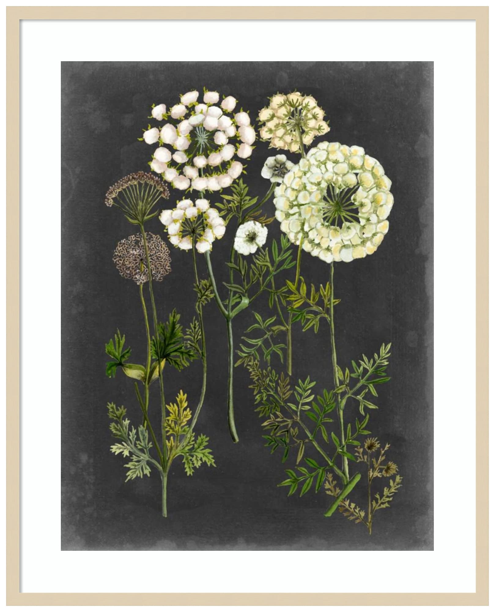 Amanti Art Framed Floral Wall Art Print - 41x33 Bookplate Floral II by Naomi McCavitt | Vintage Flower Painting for Living Room, Bedroom, Office Decor | Large Canvas Artwork Perfect for Home & Office Interior Design
