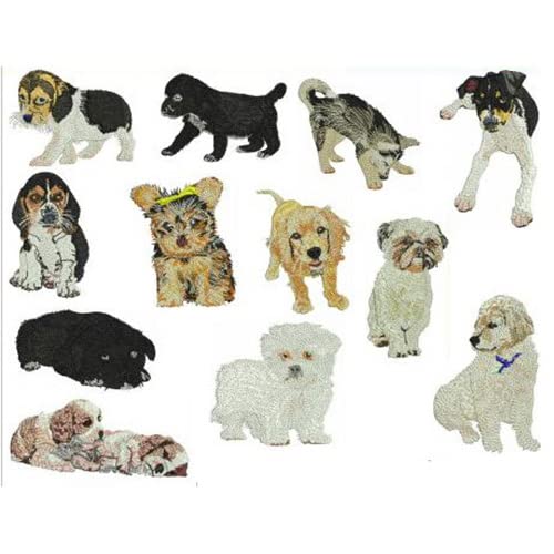 Puppies1