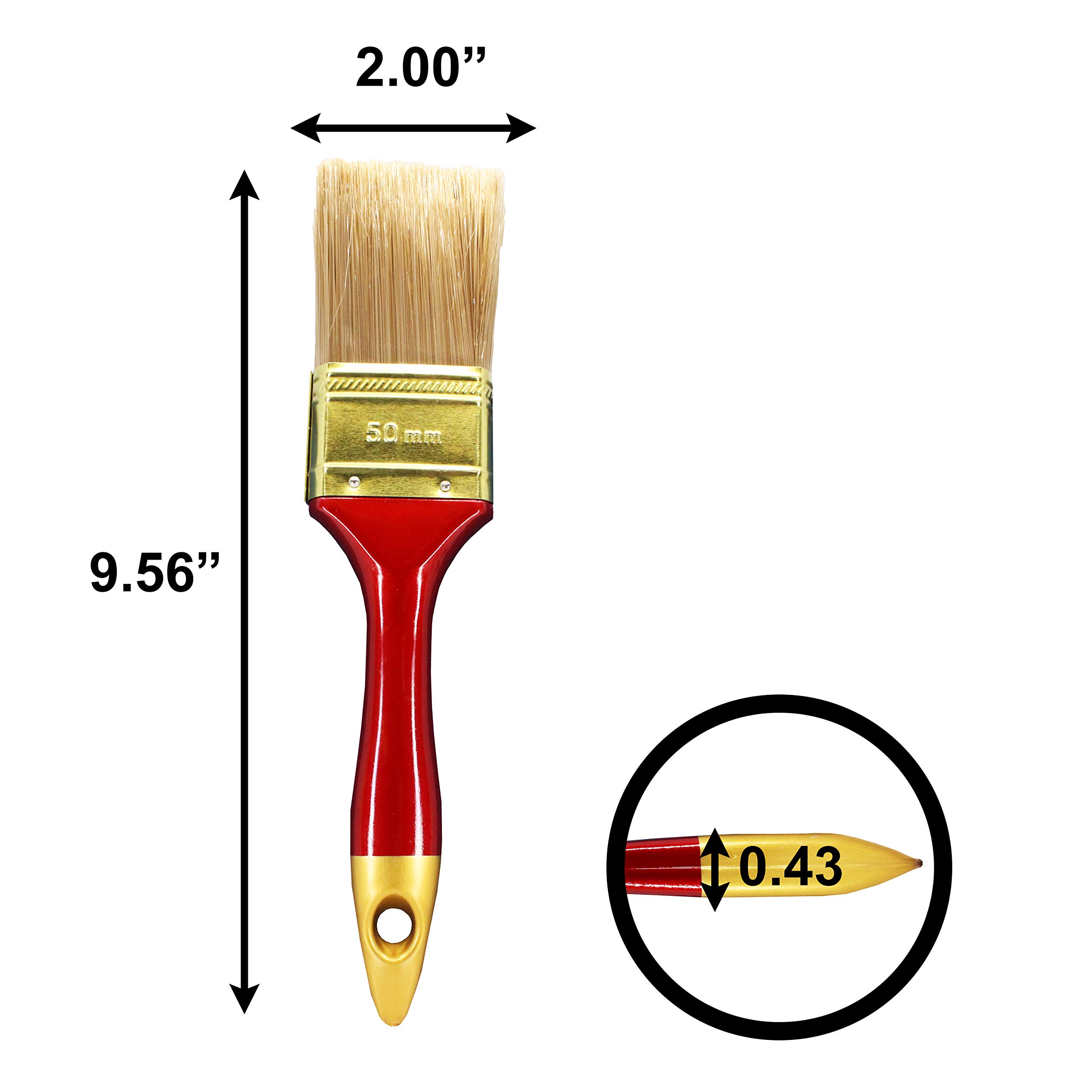 Premium Kingman 2 Inch Paint Brushes - Set of 24 with Durable Plastic Handles - Perfect for DIY Projects, Home Painting, Wall Decor & Crafting