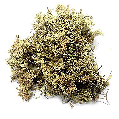 Dried Base Moss