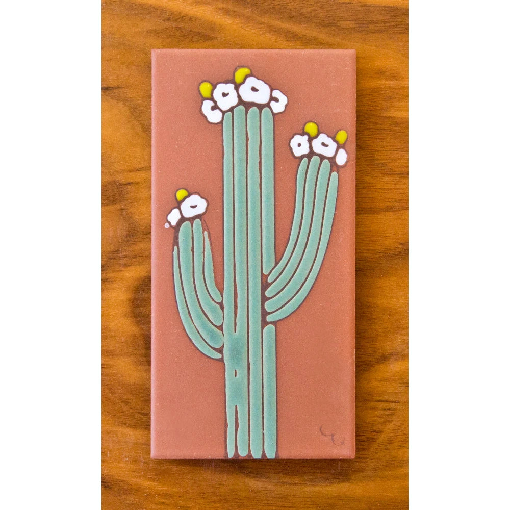 Saguaro 3x6 Terra Cotta Tile - Handmade Clay Wall & Floor Tiles for Kitchen, Bathroom & Outdoor Spaces