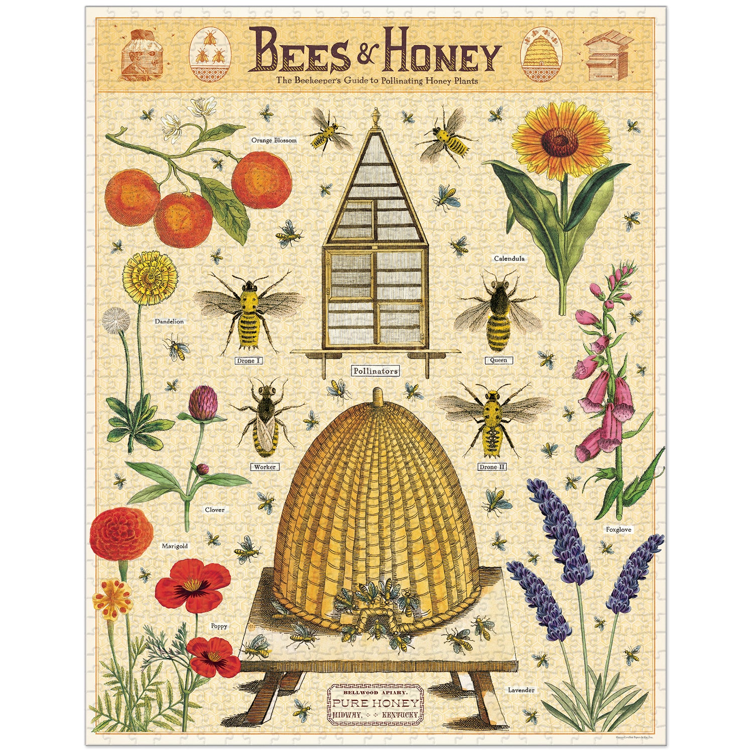 Bees & Honey Puzzle - 1000 Piece Jigsaw Puzzle for Adults & Kids - Fun & Educational Nature Theme - Perfect for Family Game Night & Classroom Activities