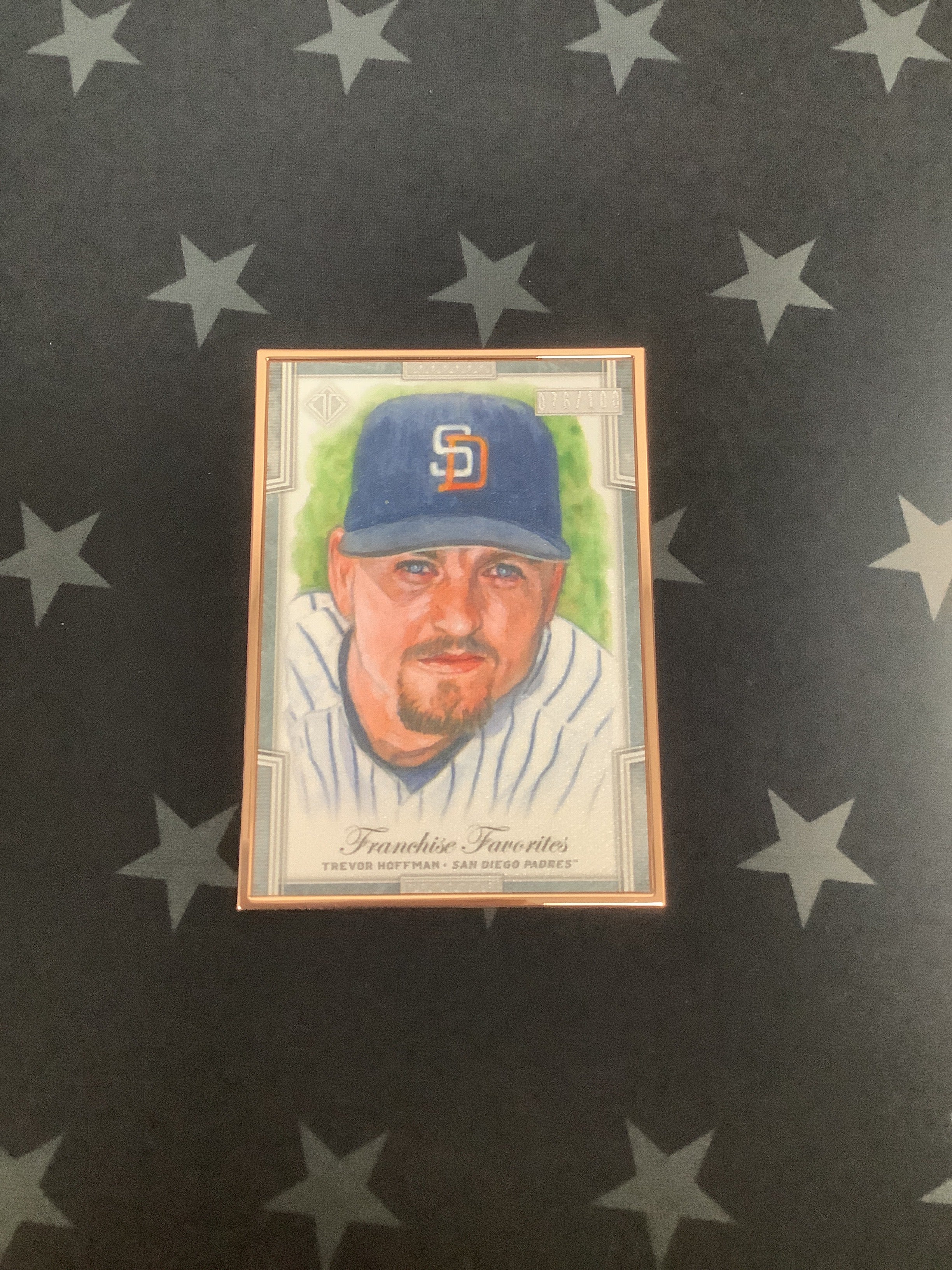 2019 Topps Transcendent Trevor Hoffman #FFR THO Franchise Favorites 76/100 - Rare Baseball Trading Card for Collectors & Fans - Perfect for Display, Investment & Memorabilia Collections