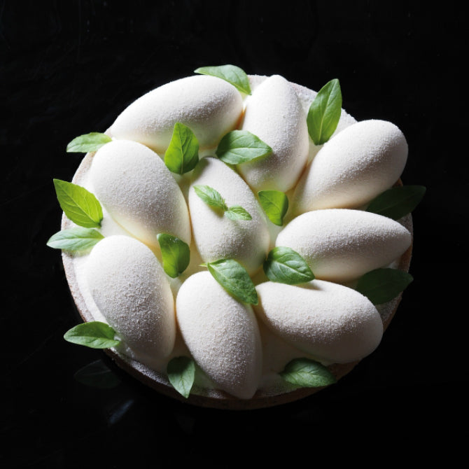 Pavoflex Silicone Quenelle Tonda Mold - 49 Forms for Professional Cooking, Baking & Plating - Perfect for Chefs, Home Bakers & Food Presentation