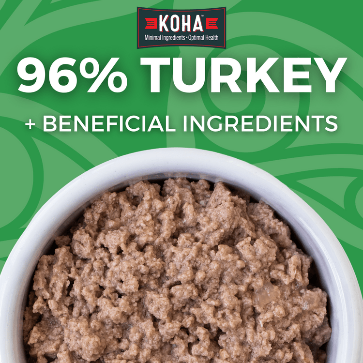 KOHA LID Turkey Pâté Grain-Free Canned Cat Food - 3oz (Pack of 12) | High Protein Wet Food for Kittens & Adult Cats | Perfect for Picky Eaters & Sensitive Stomachs