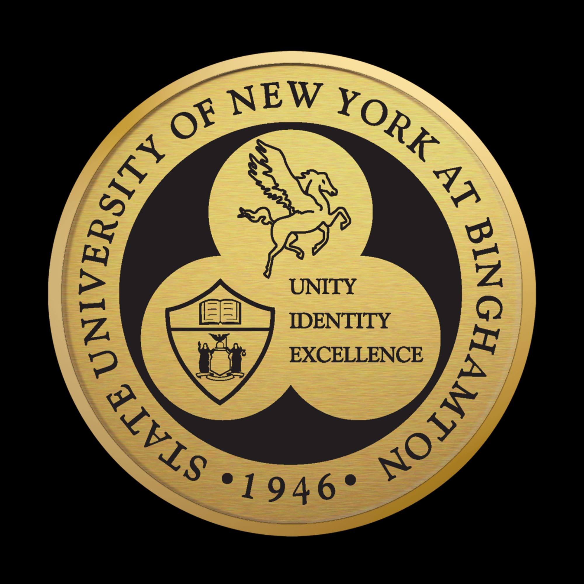 Binghamton University School of Management Diploma Frame 11