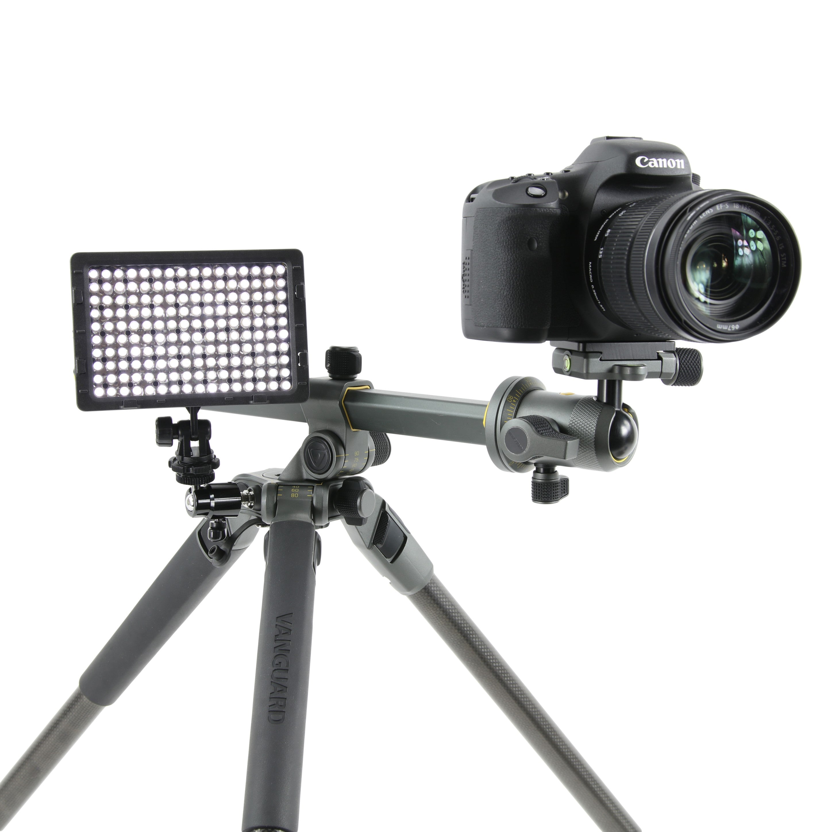 Alta Pro 2+ 263CB 100 Carbon Fiber Tripod with Multi-Action Ball Head - Professional Camera Tripod for Overhead Shooting, Vlogging, and Outdoor Photography
