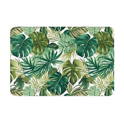 Tropical Plants