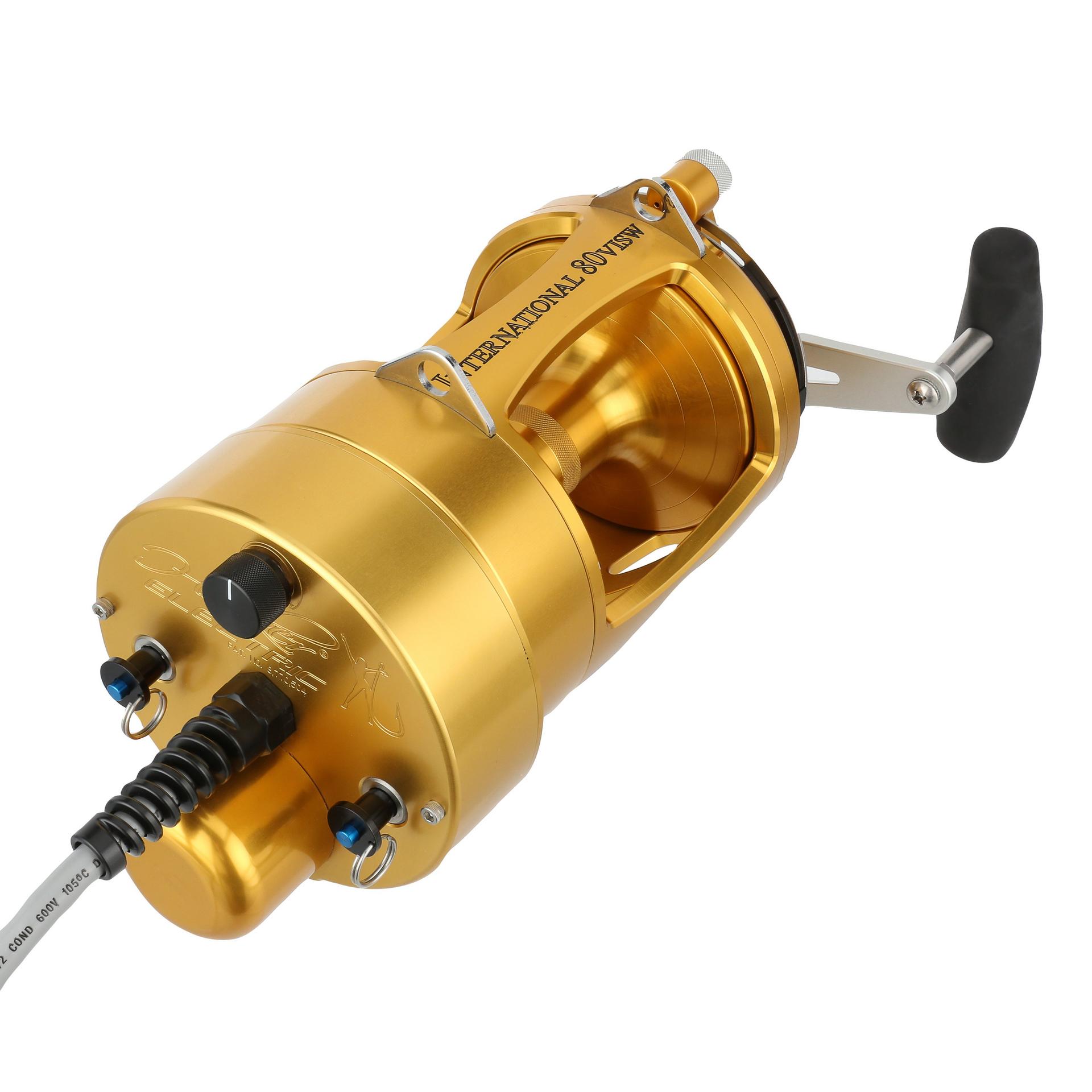 International® VI Detachable Electric Fishing Reel - Saltwater & Freshwater Spinning Reel for Offshore, Surf, and Boat Fishing - Lightweight & Powerful Motor for Smooth Casting and Retrieval