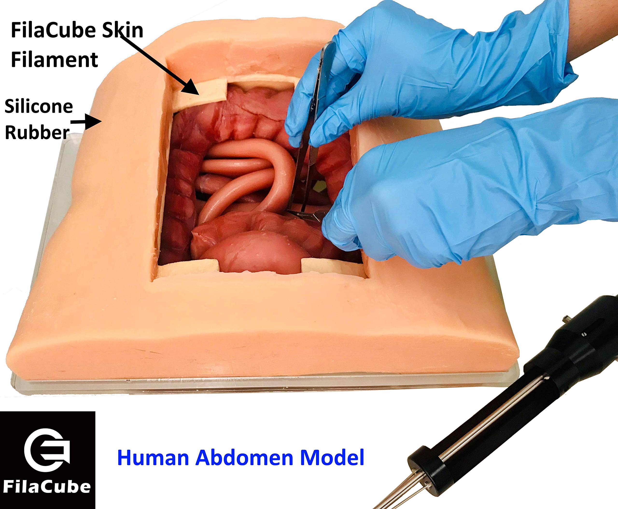 FilaCube PLA 2 Light Skin Color Tone 1.75mm 3D Printer Filament 1kg - Premium PLA Filament for Human Organ Models, Body Girl Toys & Epidermis Simulation | Made in USA | Ideal for Medical Education, Cosplay & Artistic Creations