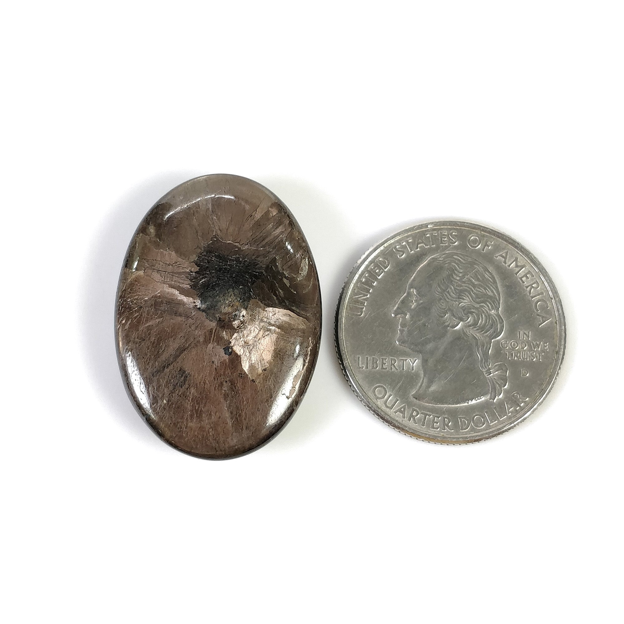 Natural Untreated Golden Brown Chocolate Sapphire Gemstone Cabochon - 52.20cts Oval Shape 30x21mm TRAPICHE (With Video) | Jewelry Making, Engagement Rings & Collector's Item