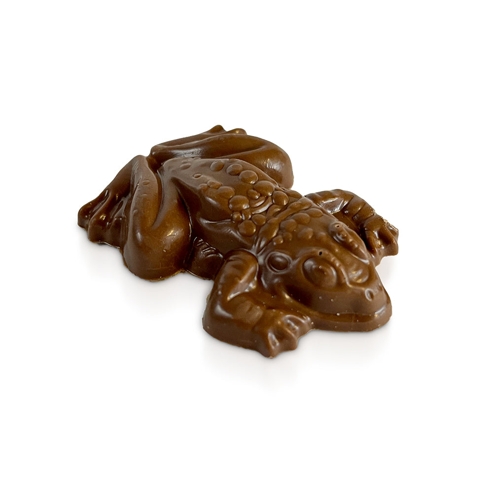 Jelly Belly Harry Potter Chocolate Frog Candy - 24 Count Case | Perfect for Movie Nights, Birthday Parties & Halloween Treats