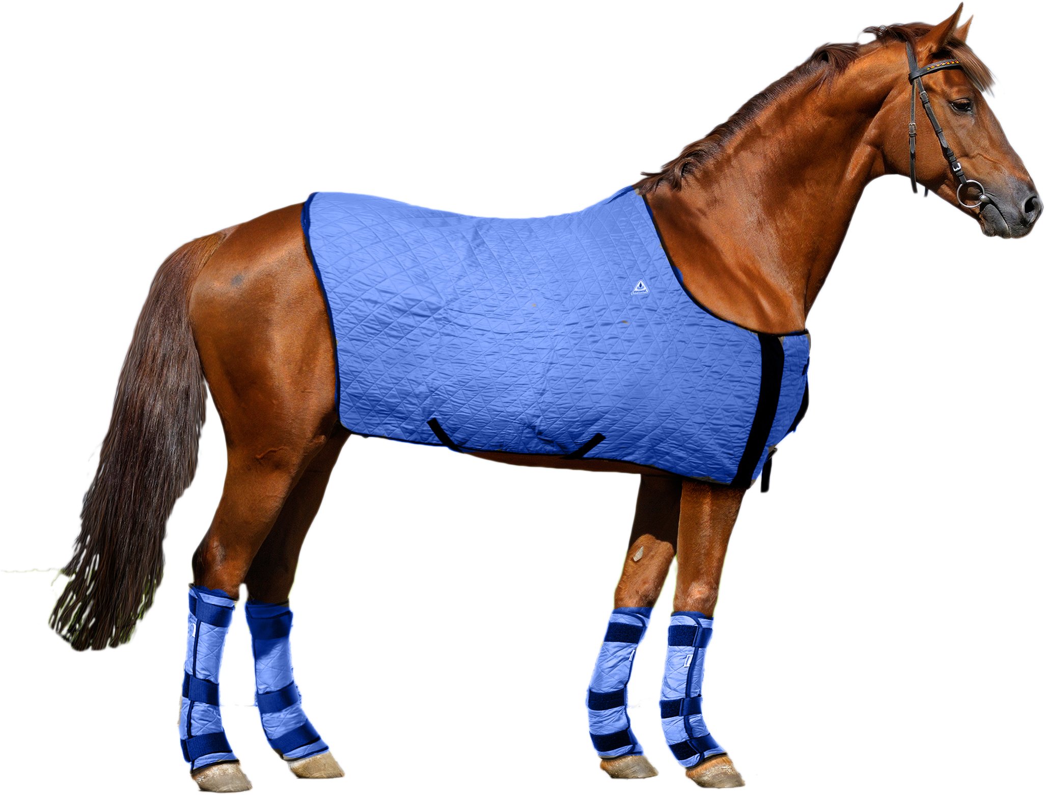 HyperKewl Evaporative Cooling Horse Blanket - Large Size, Breathable Mesh, UV Protection - Perfect for Hot Weather Riding, Training, and Show Competitions (Blue)