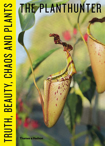 The Planthunter: Truth, Beauty, Chaos and Plants - Inspiring Home Decor & Gardening Ideas for Plant Lovers
