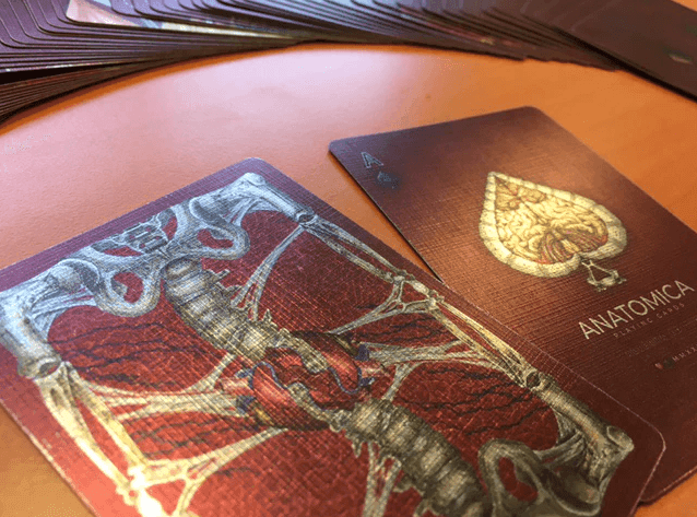 Premium Alterna Playing Cards - High-Quality Poker & Card Games Deck for Magic Tricks, Poker Nights & Family Game Nights