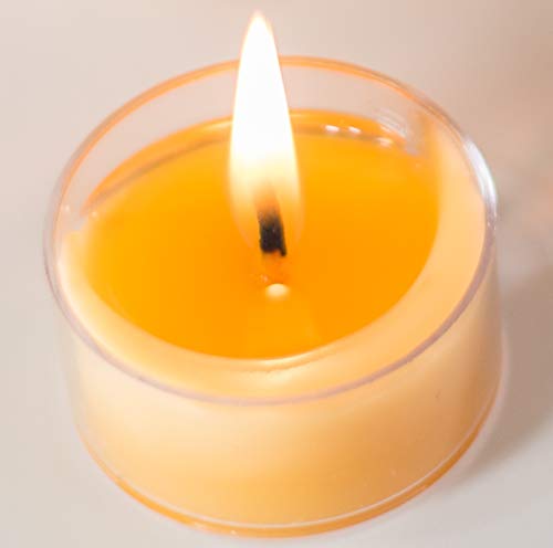 Brady Bunch Variety Beeswax Candle Gift Set - 100% Pure Hand-Poured Beeswax Candles Including Tealights, Votives (2