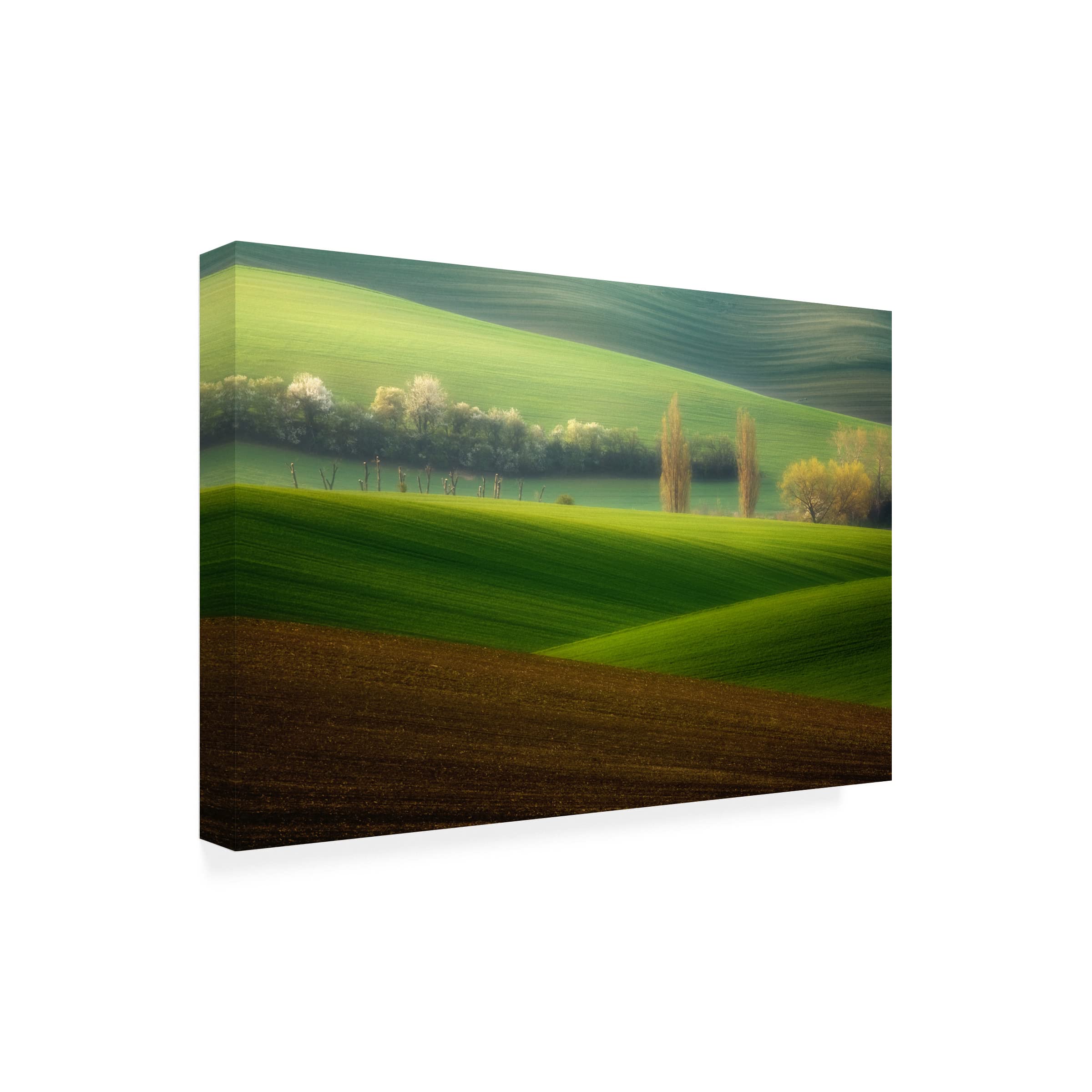 Trademark Fine Art 'Brothers' Canvas Wall Art Print by Krzysztof Browko - Modern Home Decor for Living Room, Bedroom & Office