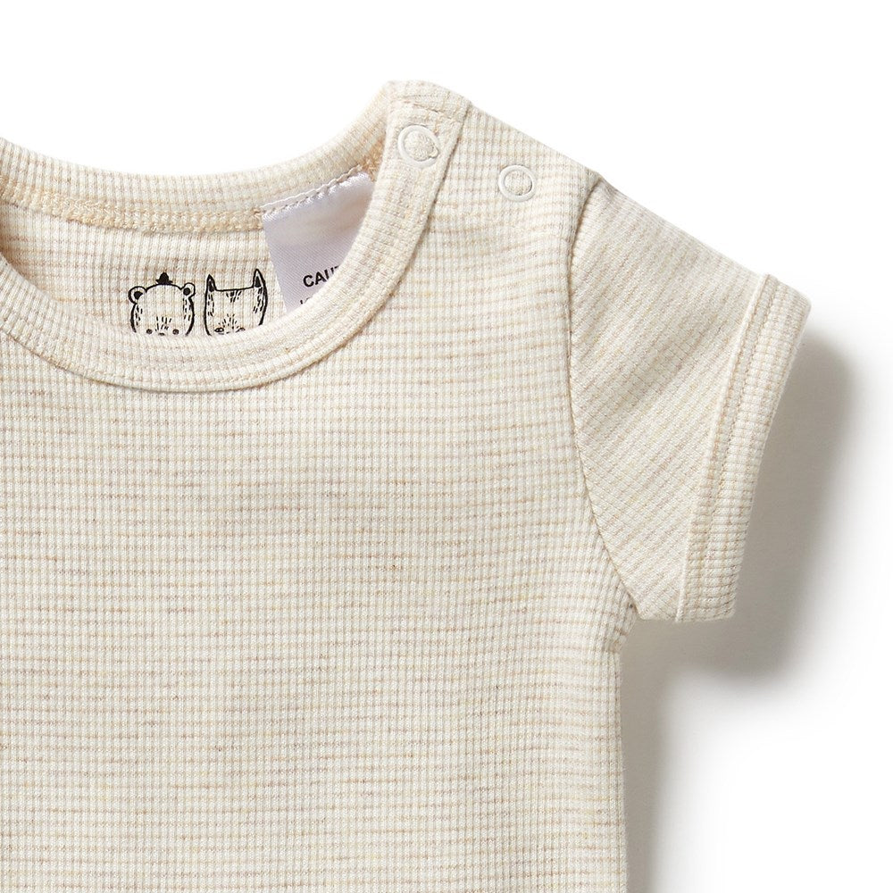 Organic Stripe Rib Bodysuit - Soft & Comfortable Baby Onesie for Newborns & Infants | Perfect for Playtime, Sleep & Everyday Wear