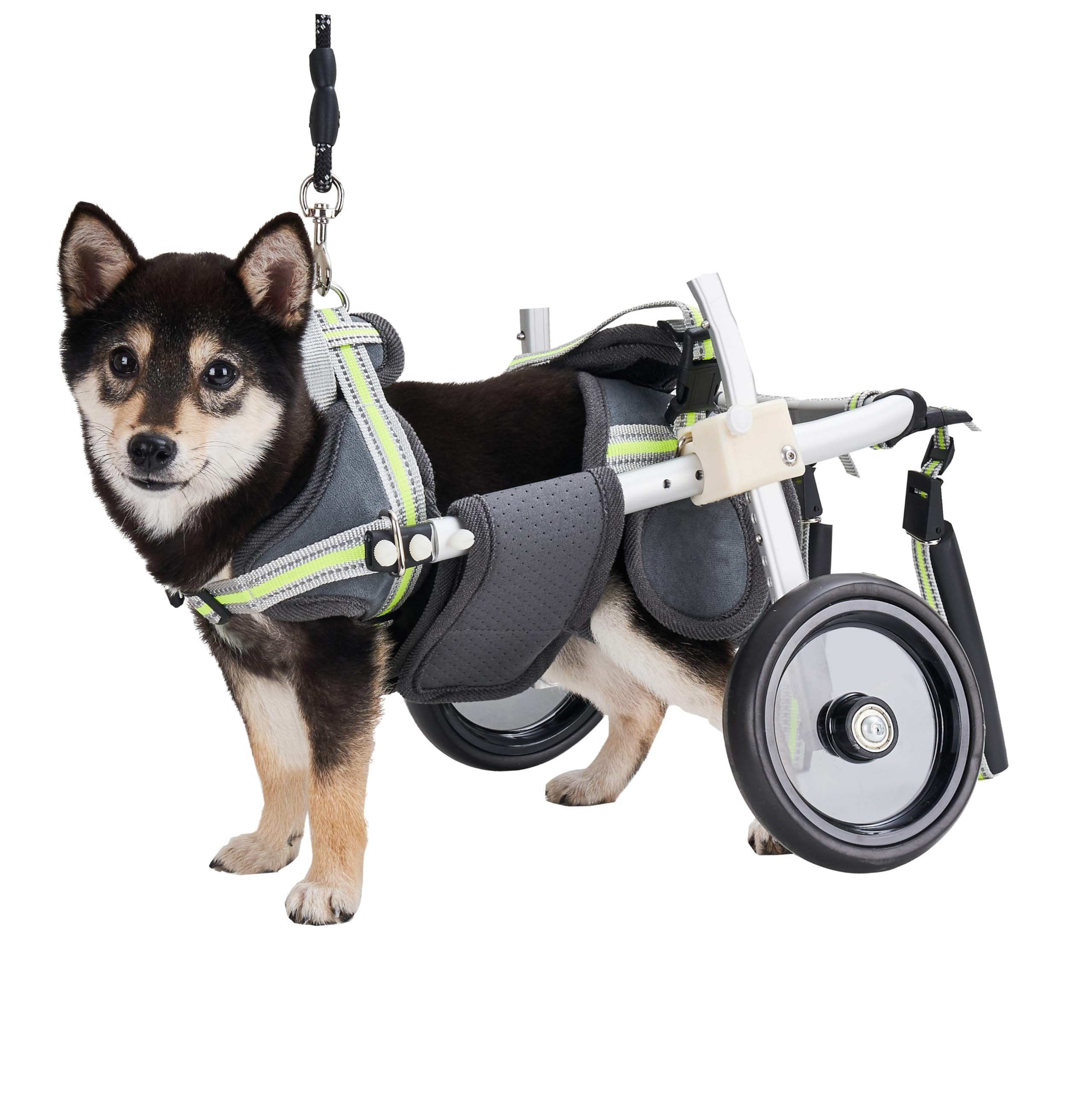 Adjustable Dog Wheelchair for Hind Legs - Lightweight Pet Mobility Cart for Disabled Dogs - 5 Sizes (XS-XL) - Ideal for Back Leg Rehabilitation & Daily Walking Support