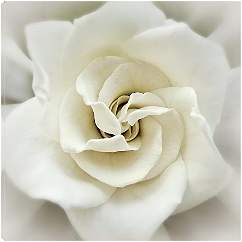 Faded Gardenia
