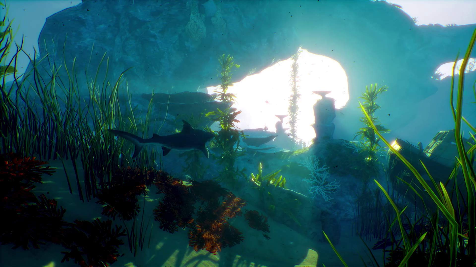 Maneater - Nintendo Switch Game | Open-World Action RPG | Underwater Adventure for Shark Lovers | Perfect for Home Gaming & Travel Entertainment