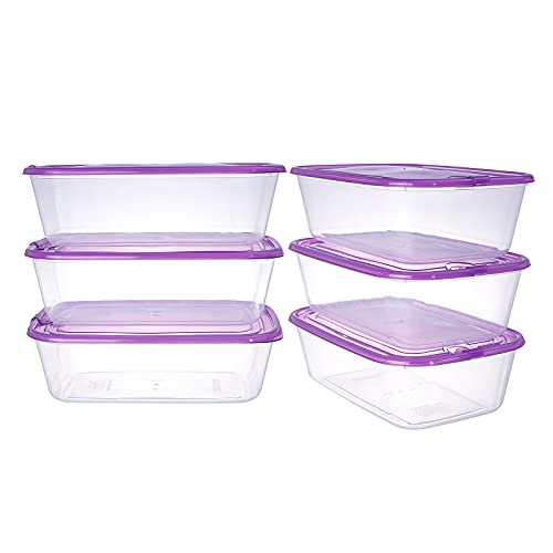44OZ*6 Purple