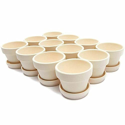 12 Pack Mini White Terracotta Pots with Saucers - 2.9x2.5 Inch Small Clay Planters for Succulents, Herbs, Flowers | Perfect for Indoor Gardening, Home Decor, Wedding Favors & DIY Projects
