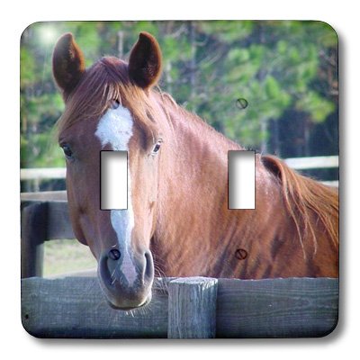 3D Rose Quarter Horse Mare Double Toggle Switch - Decorative Wall Plate Cover for Light Switches, Home & Office Decor - Perfect for Bedroom, Living Room, Kitchen, and Office Spaces