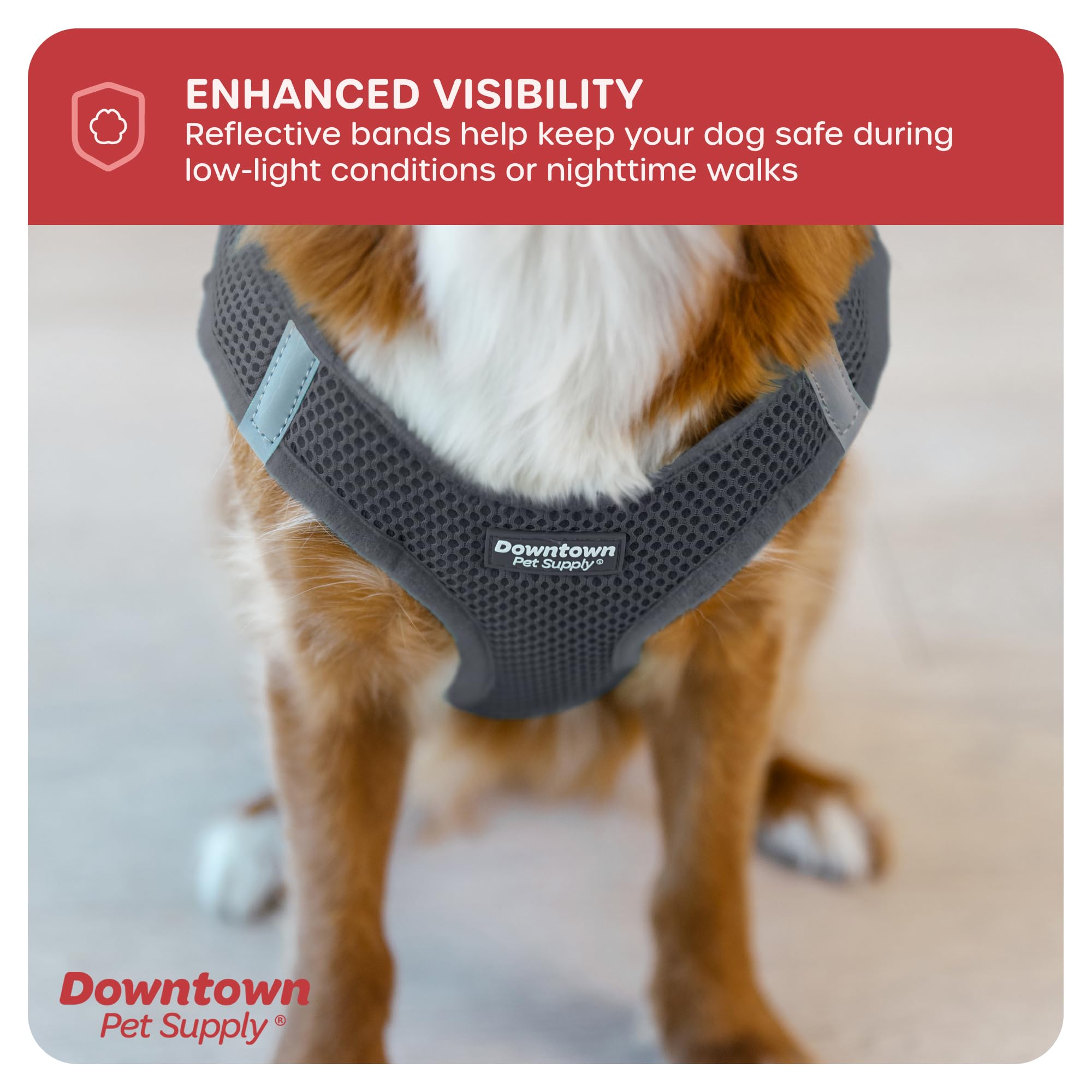 **Downtown Pet Supply No-Pull Step-in Dog Harness for Small Dogs - Adjustable Padded Mesh Harness with Reflective Trim - Comfortable & Secure Buckle Strap Harness for Walking, Training & Outdoor Adventures (Small, Charcoal)**