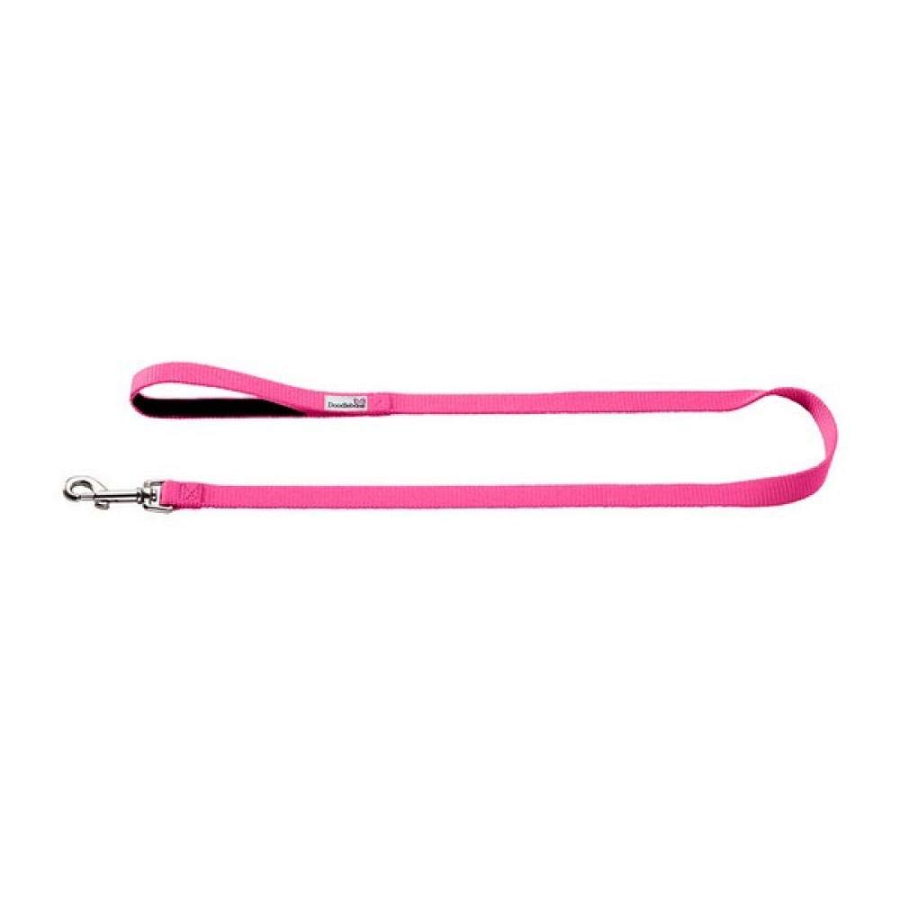 Durable and Easy-Clean Bold Dog Lead for Large Dogs in Cyan | Heavy-Duty Pet Leash for Walking, Training, and Outdoor Adventures