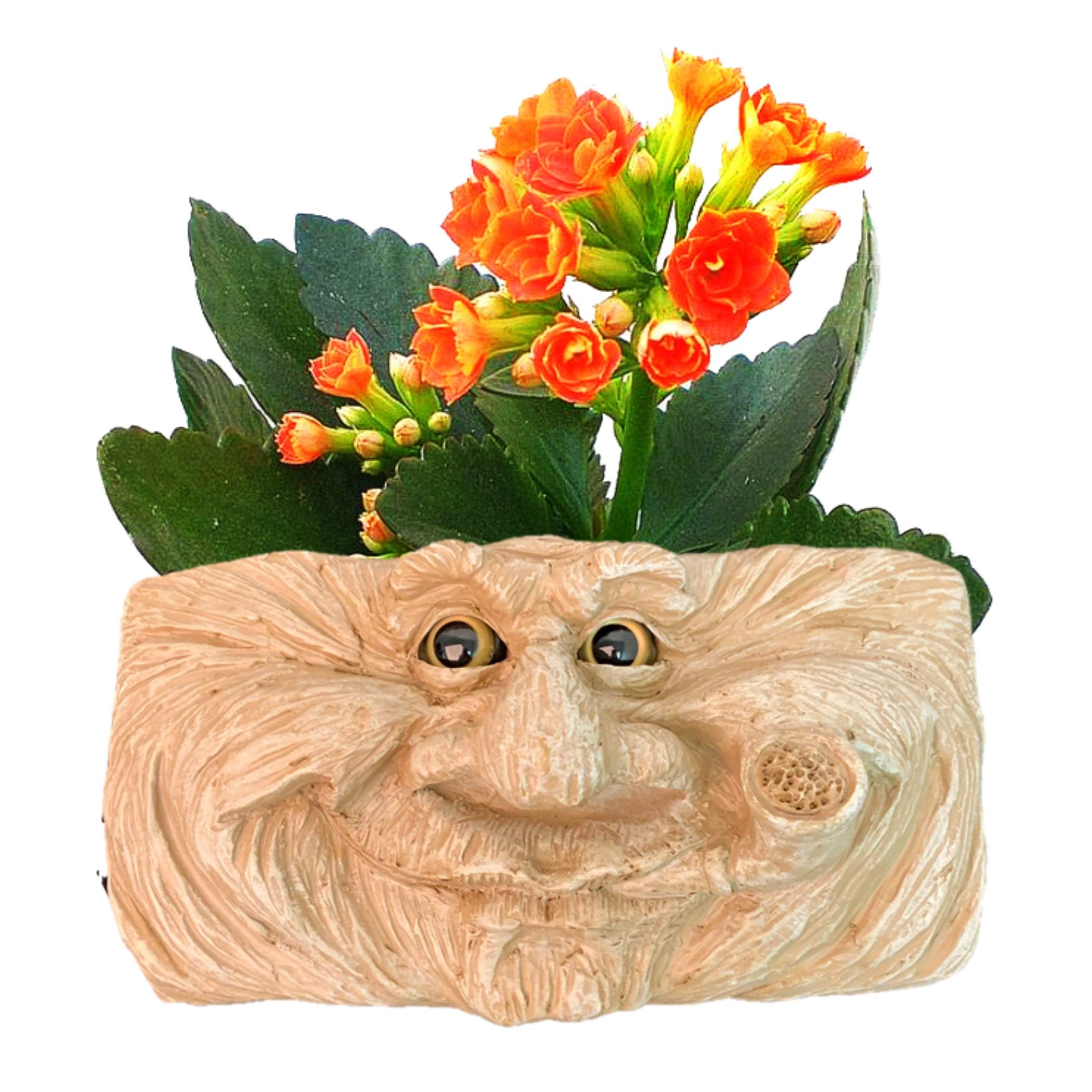 Grandpa Old Hickory Stone Wash Face Statue - Rustic Tree & Patio Wall Planter for Garden Decor | Perfect for Outdoor Wall Art, Patio Decorations, and Unique Garden Gifts