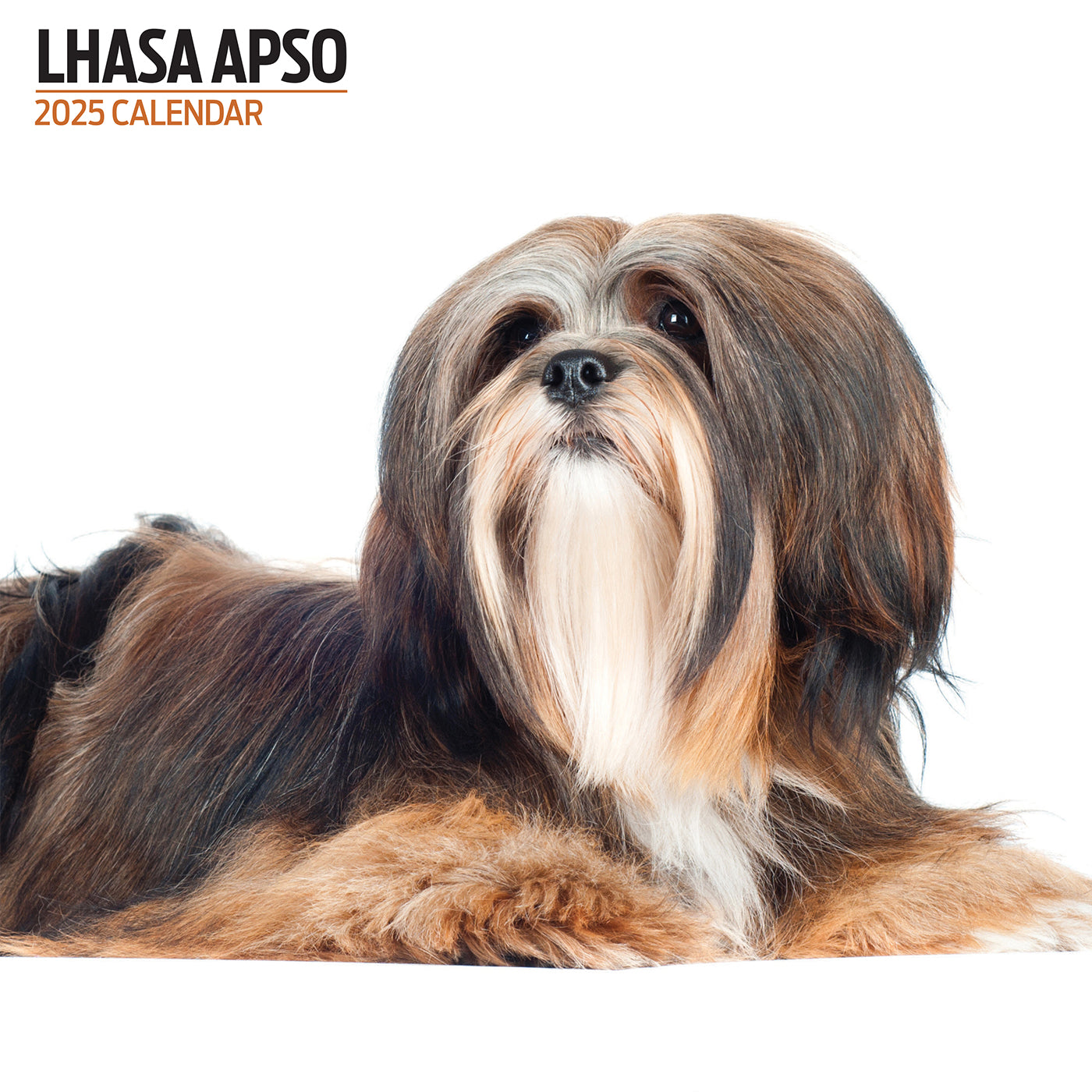 2025 Lhasa Apso Dog Breed Wall Calendar - Cute Tibetan Dog Monthly Planner for Home & Office Decor | Perfect Gift for Pet Lovers & Dog Owners