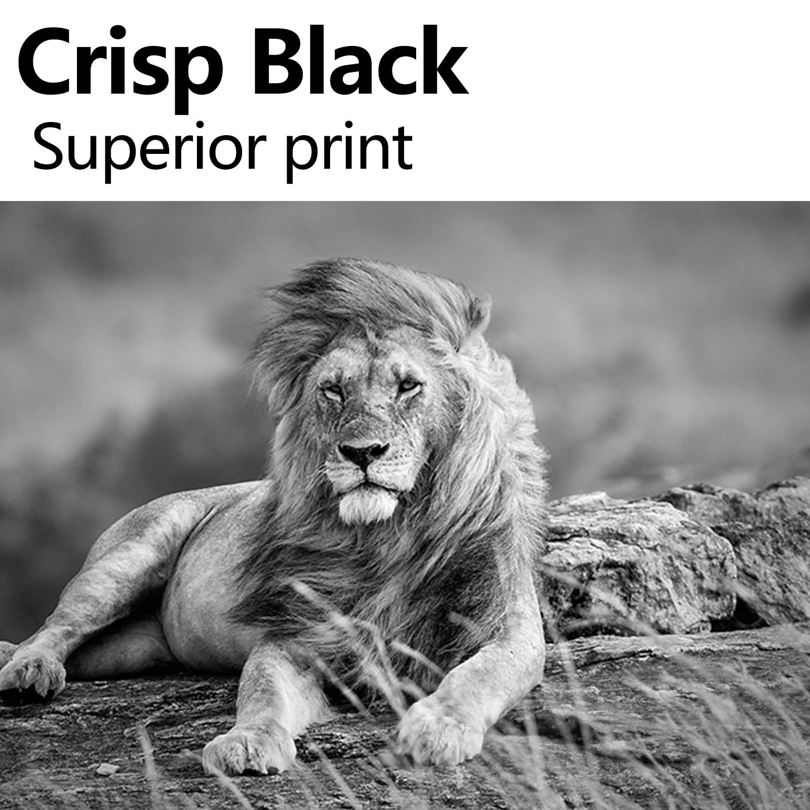 HP 105A W1105A Compatible Toner Cartridge Replacement (2-Pack, Black) - Works with Laser MFP 137fnw 107a 107w 135a 135w Printers - Perfect for Home & Office Printing Needs