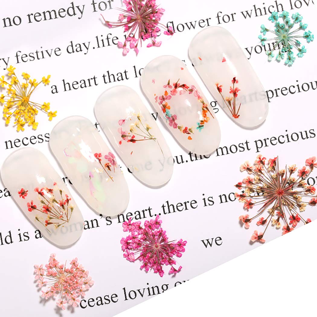 Dorakitten 3 Sets Pressed Dried Flower Nail Art Decorations - Floral Nail Art Supplies & Accessories for DIY Manicure, Wedding, Party Nail Designs