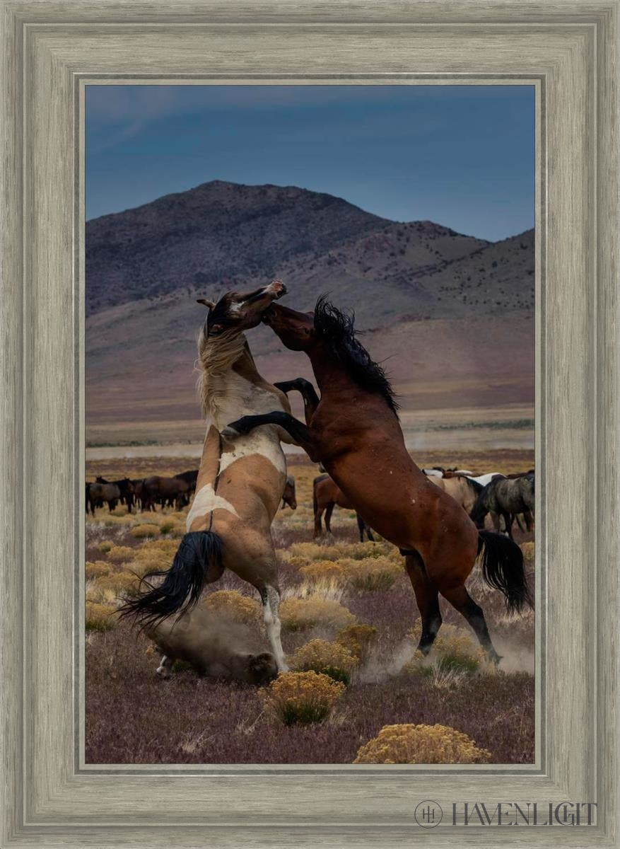Desert Duel 1 by Greg Sargent - Western Adventure Novel for Adults | Perfect for Book Clubs, Gifts & Western Fiction Fans