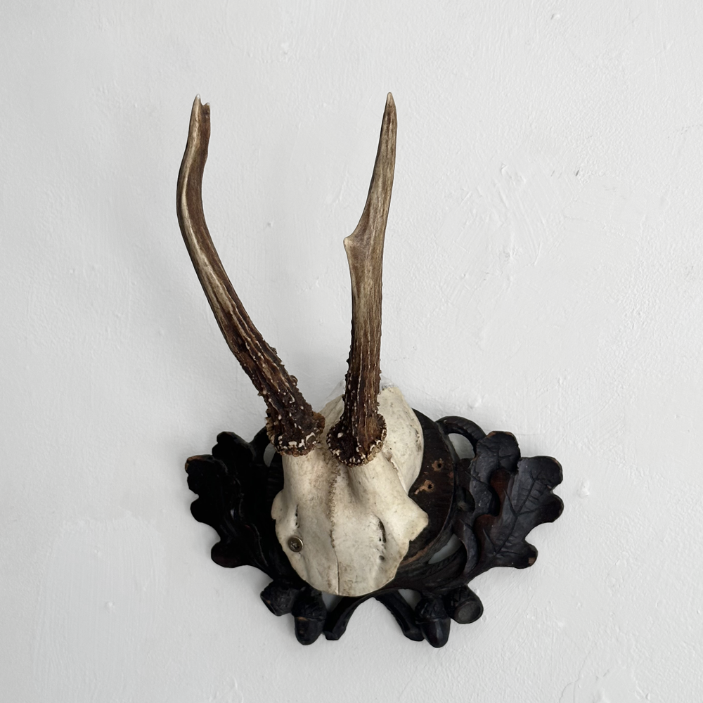 Handmade Black Forest Deer Antlers on Carved Wood Plaque - Rustic Home Decor for Cabin, Lodge & Hunting Cabin Wall Art (#554)