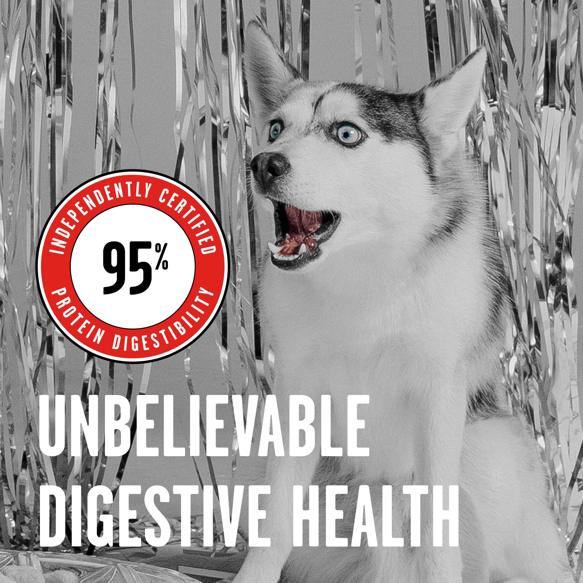 BIXBI Rawbble Freeze Dried Dog Food - Beef Recipe 12oz | 98% Meat & Organs | Grain-Free, No Fillers | Raw Dog Food for Meal, Treat or Topper | USA Made in Small Batches | Perfect for Travel, Hiking & Outdoor Adventures with Your Dog