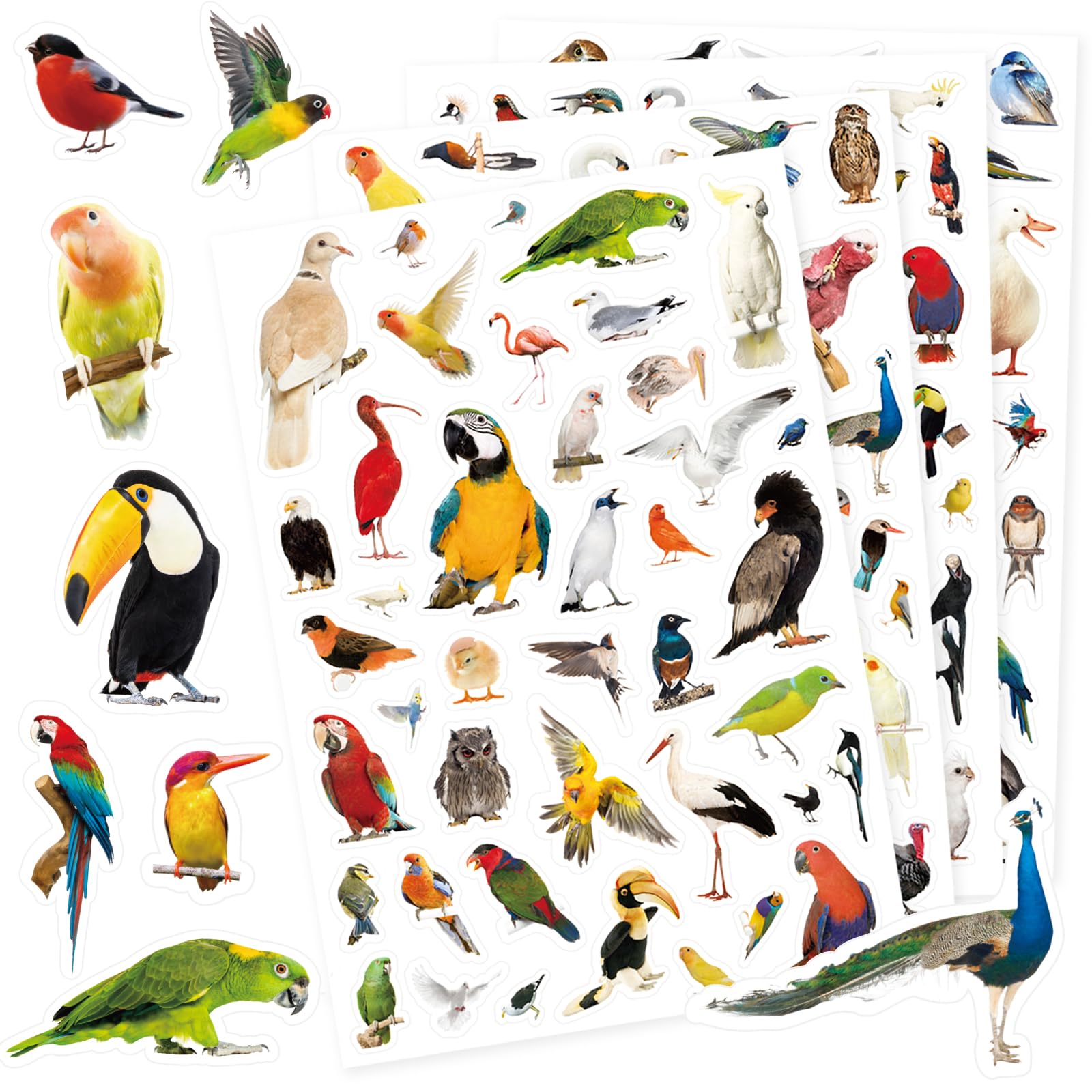 850 Count Tropical Bird Stickers - Colorful Parrot, Flamingo & Animal Stickers for Scrapbooking, Party Favors, Gift Wrapping, Planner & Calendar Decor - Perfect for DIY Crafts, School Projects & Party Decorations