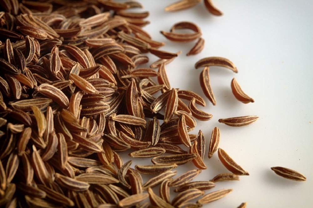 Organic Caraway Seeds 100 Count - Cool Beans N Sprouts Brand - Premium Home Gardening Seeds for Cooking, Baking & Sprouting - Perfect for Bread, Sauerkraut & Herbal Teas
