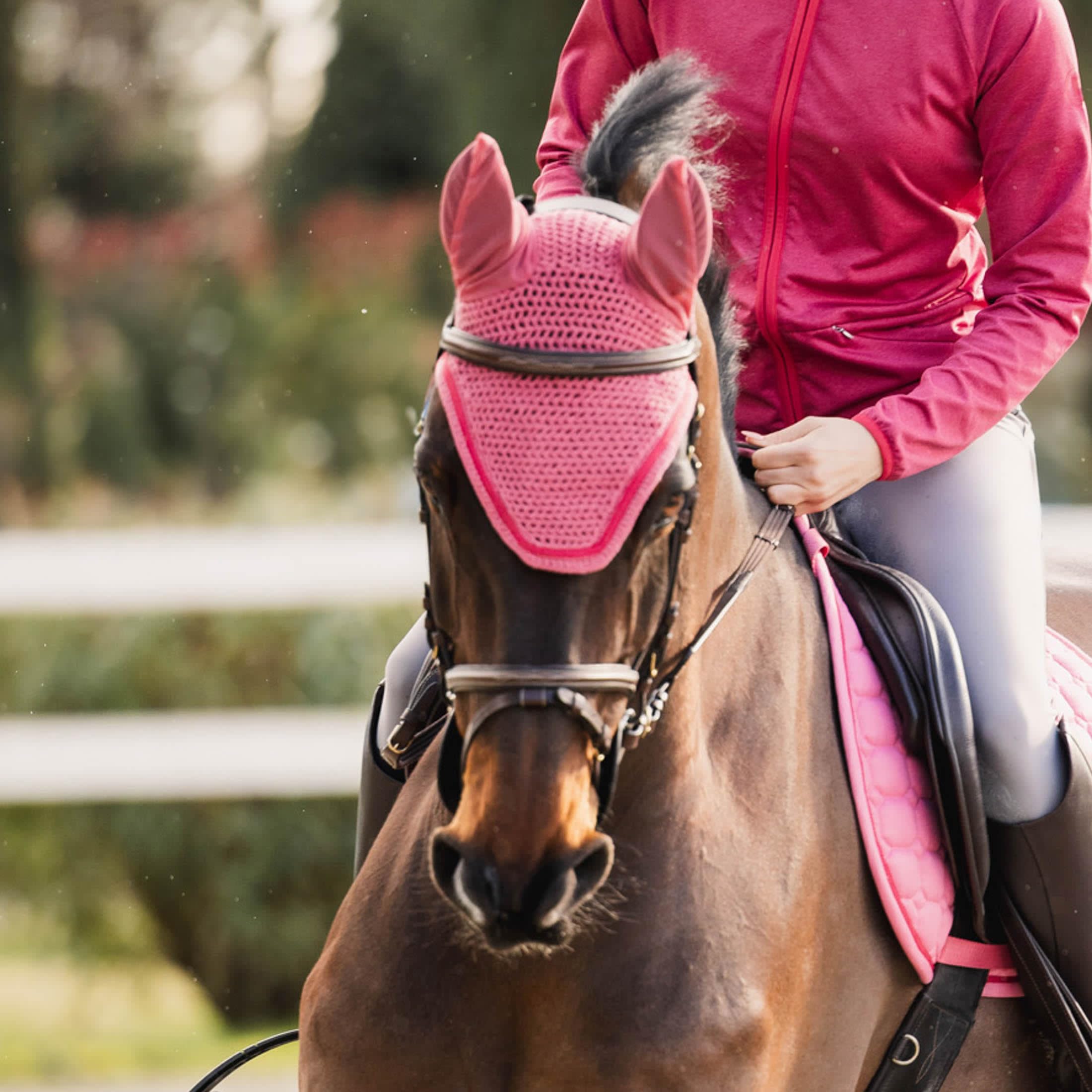 HORZE Rose Tonique Ear Net for Horses - Breathable Fly Protection in Fruit Dove Color - Ideal for Riding, Training, and Stable Use
