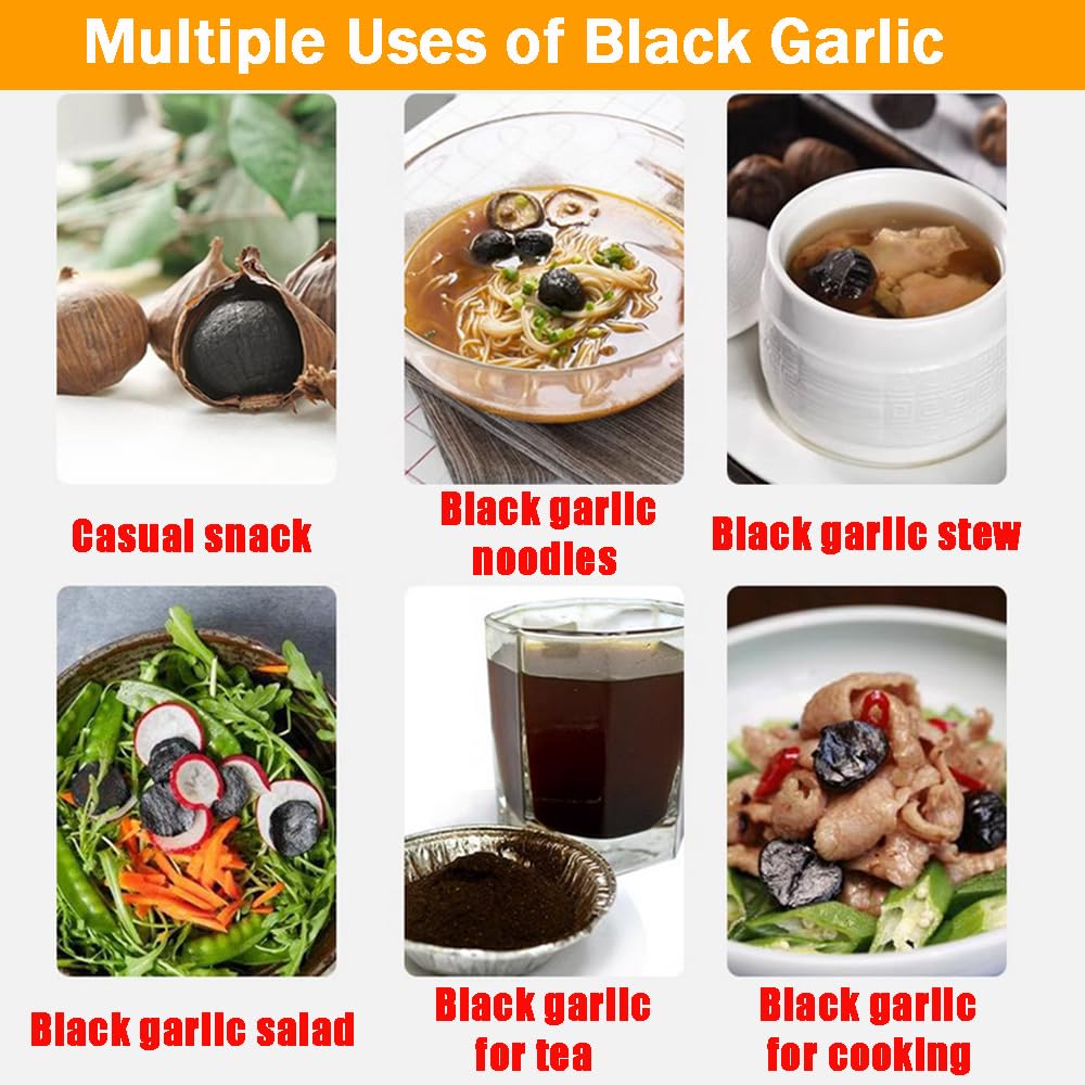 110V 6L Multifunctional Fermentation Pot for Black Garlic, Yogurt, Natto, Kimchi & Fruit Wine - Stainless Steel Shelves - Perfect for Home Brewing, Healthy Fermented Foods & DIY Kitchen Projects