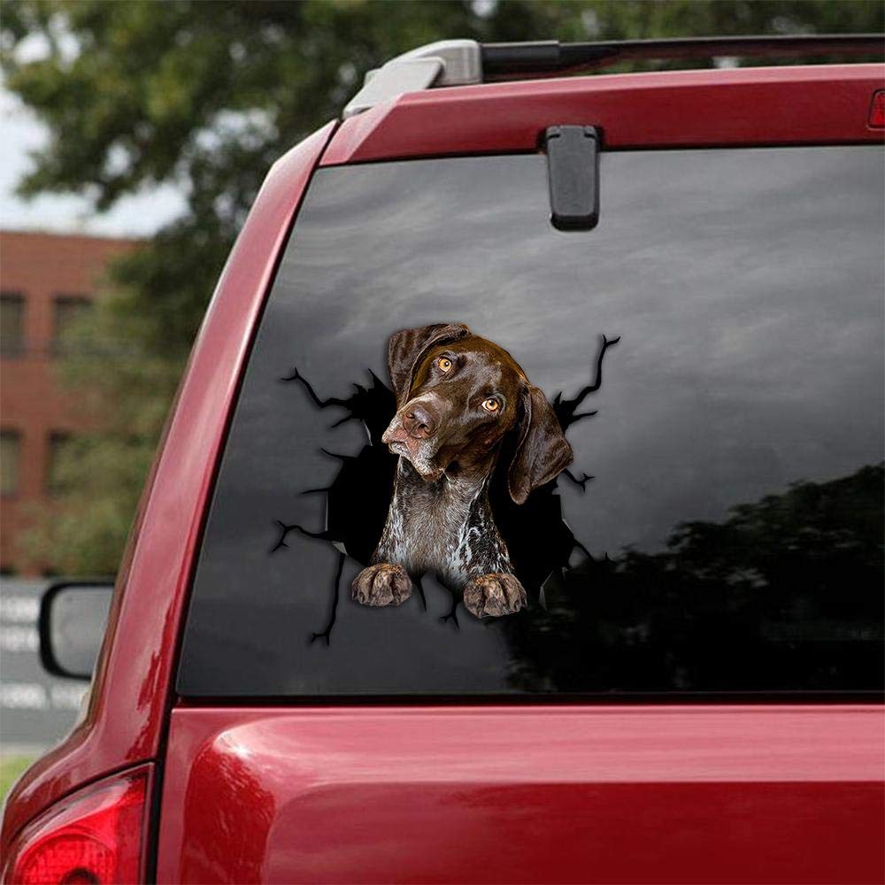 German Shorthaired Pointer Car Decals - Pack of 2 Realistic Dog Stickers for Windows & Walls (12